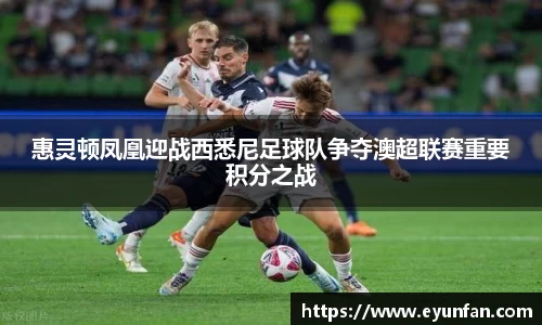 yy易游体育官网